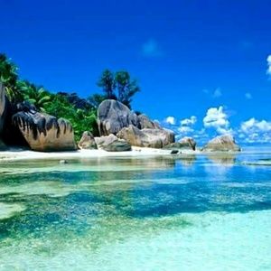 Meet your Posher, Leita